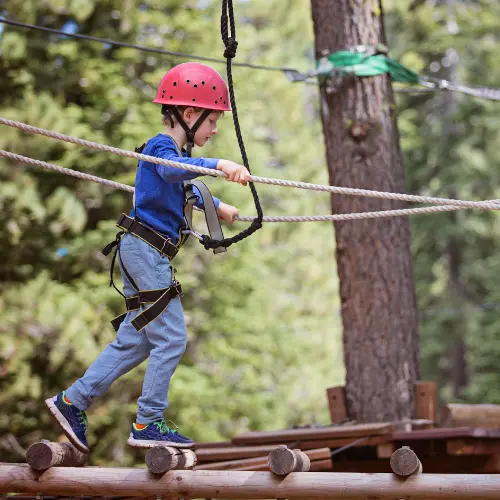 pourquoi-constuire-un-parc-accrobranche-storkeo