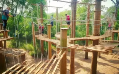 Top 5 essential workshops for ropes course parks