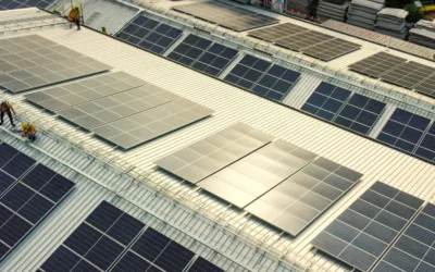 Paneles fotovoltaicos y electricidad verde: transformar una limitación en una oportunidad