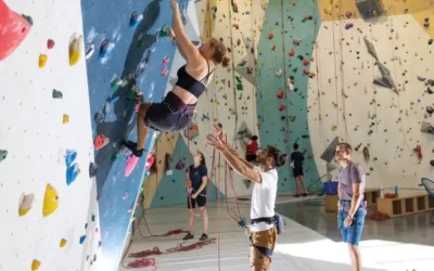 The evolution of climbing gyms in France